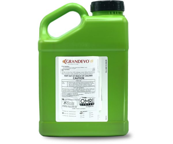 Marrone bio grandevo cg® bioinsecticide, 4 lb