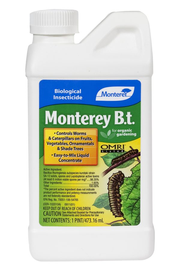 Monterey garden b. T. , 1 pt