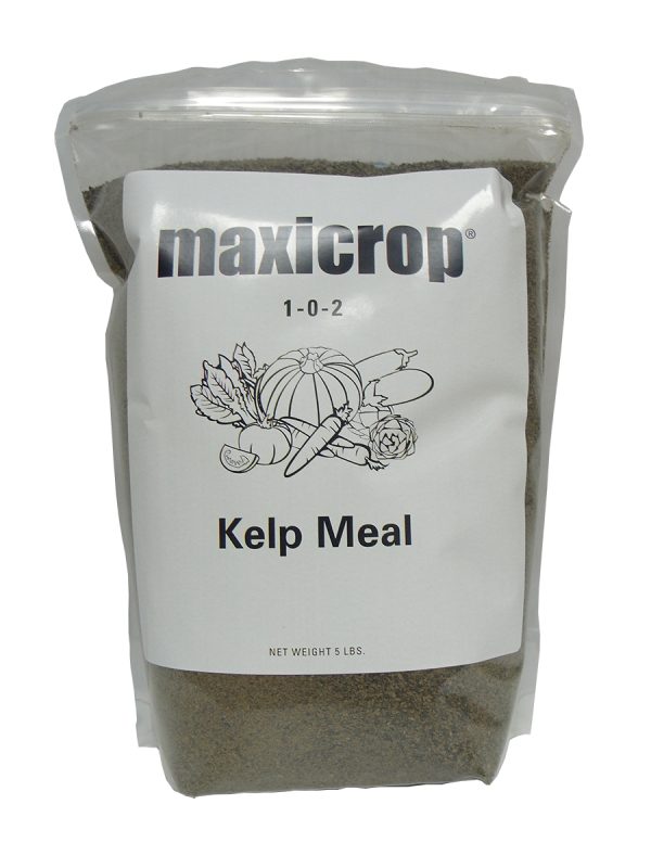 Maxicrop kelp meal, 5 lbs