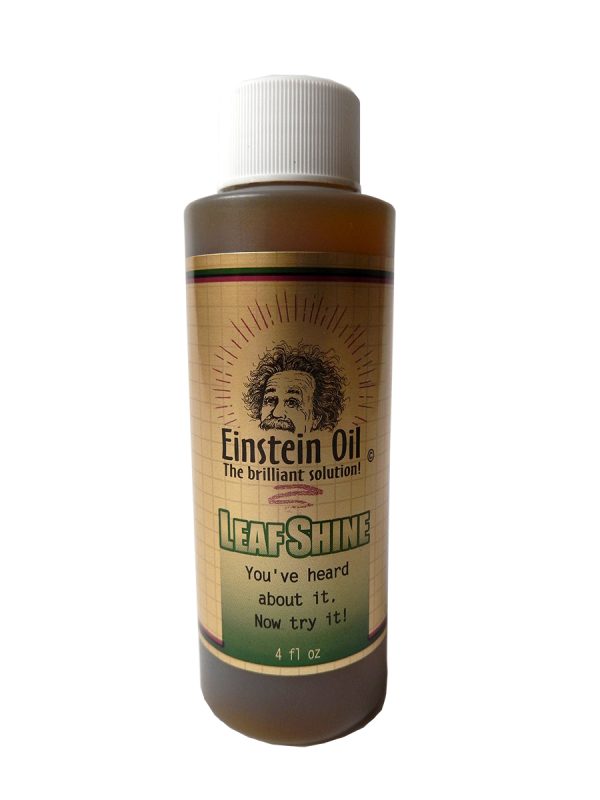 Einstein oil, 4 oz