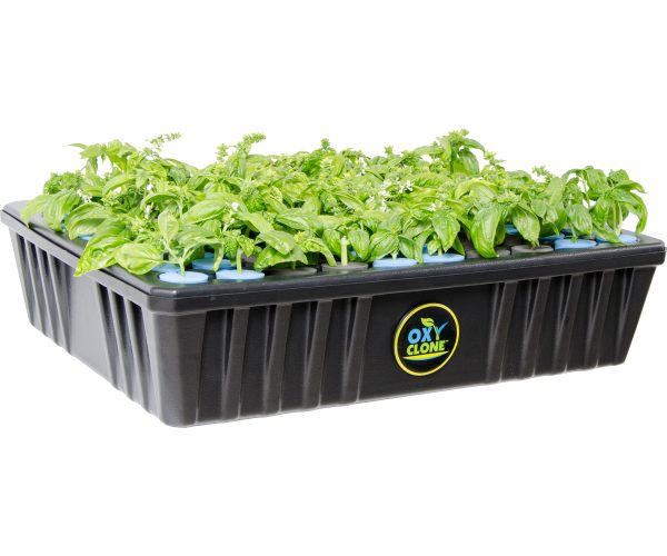 Oxyclone pro series 80 site cloning system