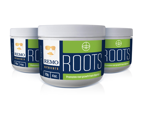 Rn71050 1 - remo roots, 224 gr (8 oz)