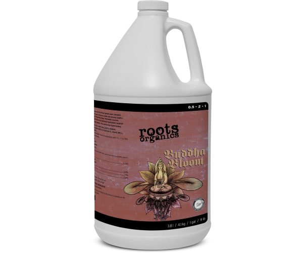 Buddha bloom, 1 gal