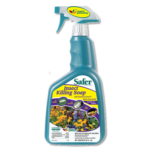 Sf5110 1 1 - safer insect killing soap, 32 oz