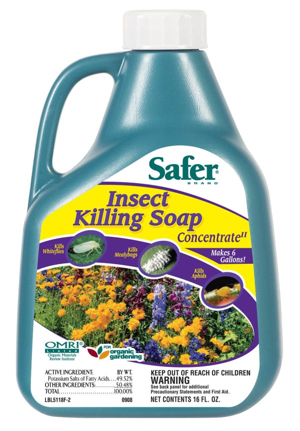 Sf5118 1 1 - safer insect killing soap concentrate, 16 oz