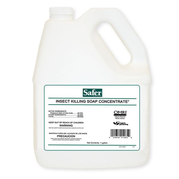 Sf5119 1 - safer insect killing soap concentrate, 1 gal, case of 4