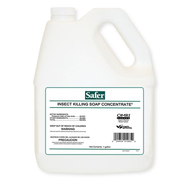 Safer insect killing soap concentrate, 1 gal, case of 4