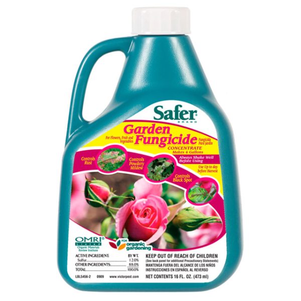 Safer garden fungicide concentrate, 16 oz
