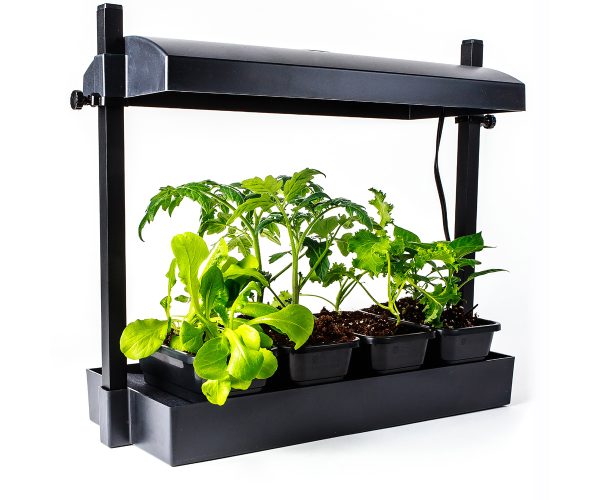 Sunblaster micro led grow light garden, black