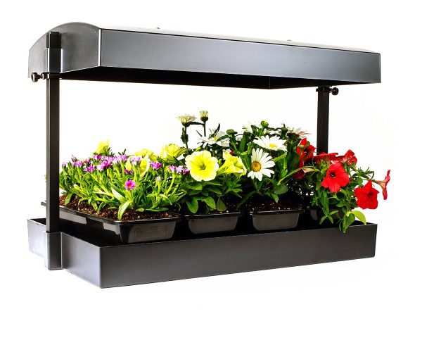Sunblaster led grow light garden, black
