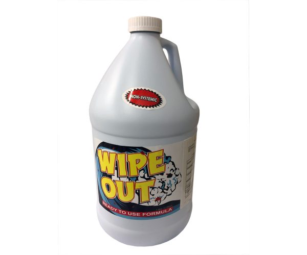 Wo2010 1 - wipe out, 1 gal